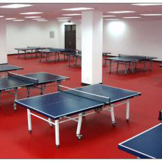 1.8m Largeur Relle PVC Vinyle Tennis de Table Cour de plancher tapis pour l' entraînement