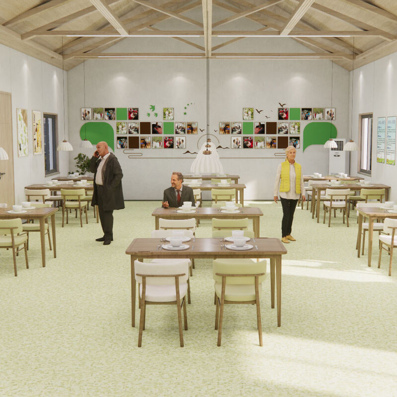 Plancher homogène résistant aux chocs avec une surface anti rayures pour les chambres de patients des maisons de retraite